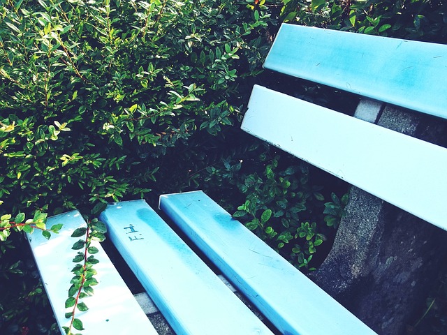 交媒体中的 交媒体中的