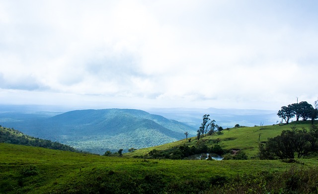 其独特性而 其独特性而