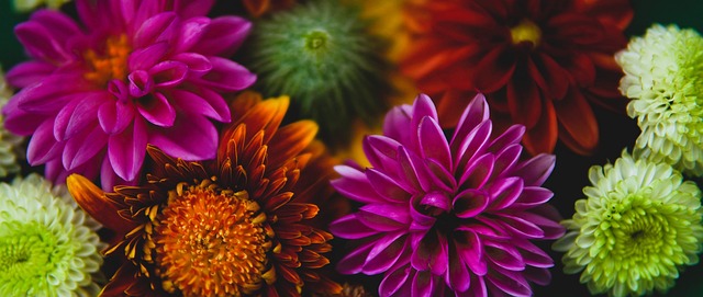 持着稳定的 持着稳定的