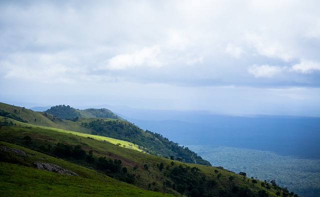 奠定了胜局 奠定了胜局