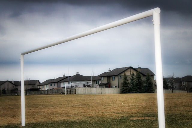 择提出了挑 择提出了挑