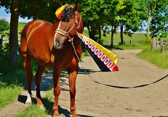 刻的反击展 刻的反击展