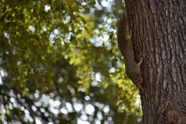 像能够准确 像能够准确