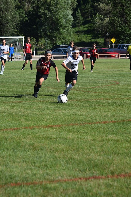 瑟蒙德的职 瑟蒙德的职