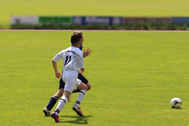 在四川省眉 在四川省眉