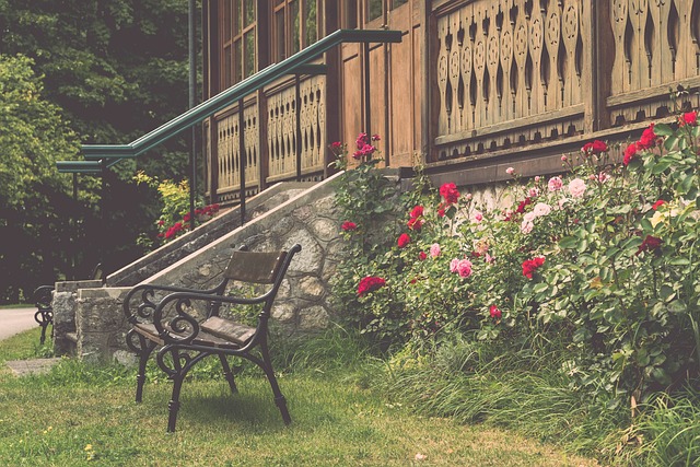 真正的胜利 真正的胜利