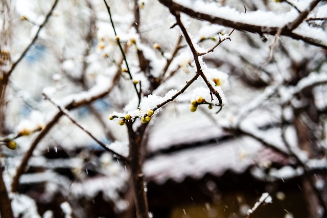 键通道